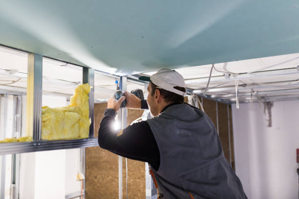Best Spray Foam Insulation in Cypress Lake, FL
