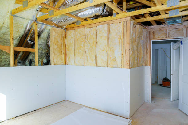 Best Energy Efficiency Insulation in Cypress Lake, FL