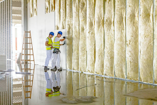 Best Commercial Insulation in Cypress Lake, FL